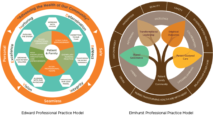 Professional Practice Models