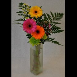 Bud Vase Gerberas