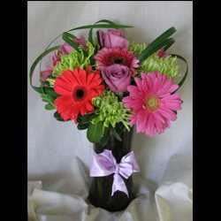 Flared Ti Leaf Gerberas