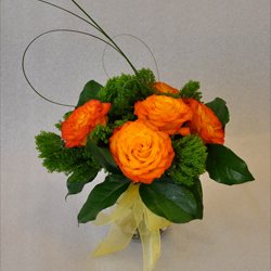 Orange Roses