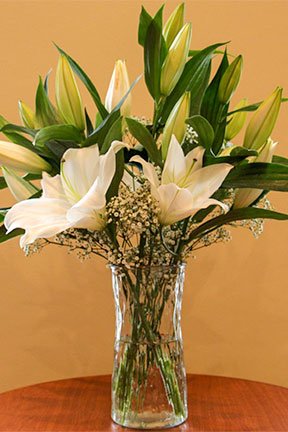 lily flower arrangement in a vase