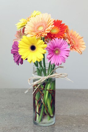 assorted gerber daisy flower arrangement