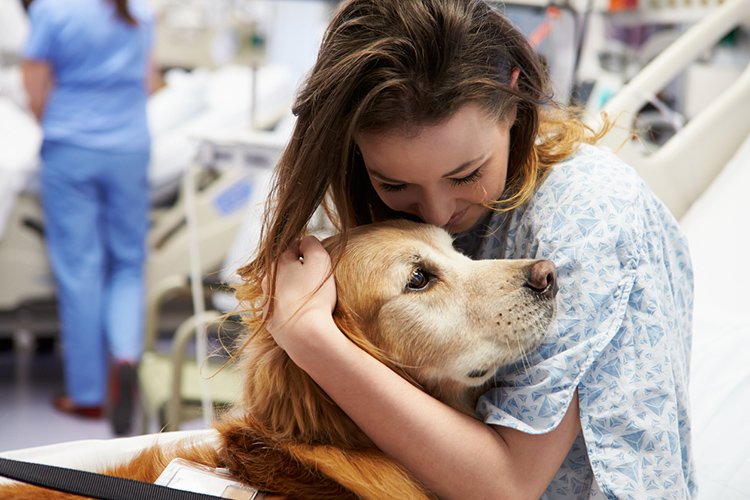 Patients and their pets: exploring the animal connection in therapy |  Edward-Elmhurst Health