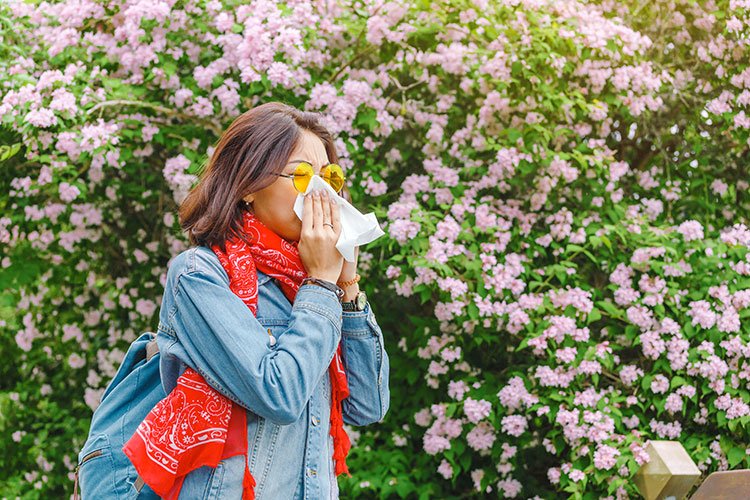 Could Seasonal Allergies Have A Connection To Heart Disease Edward