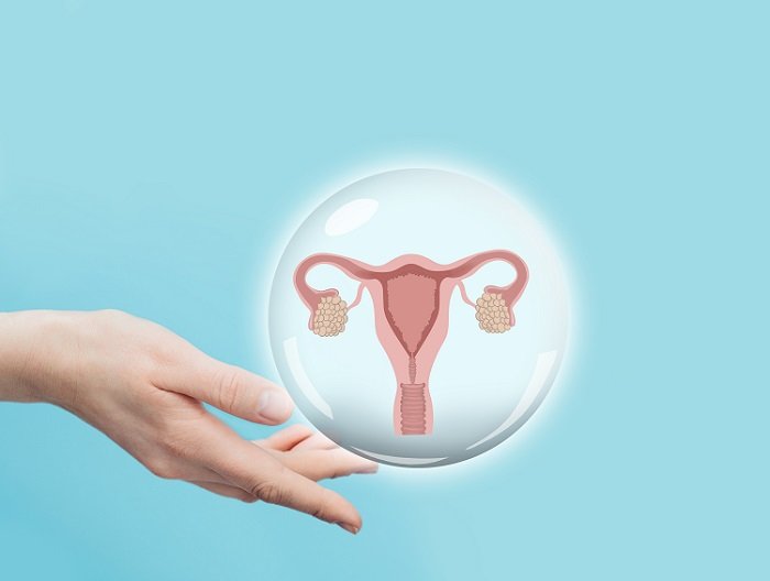 Can You Get Pregnant After Endometrial Ablation?  