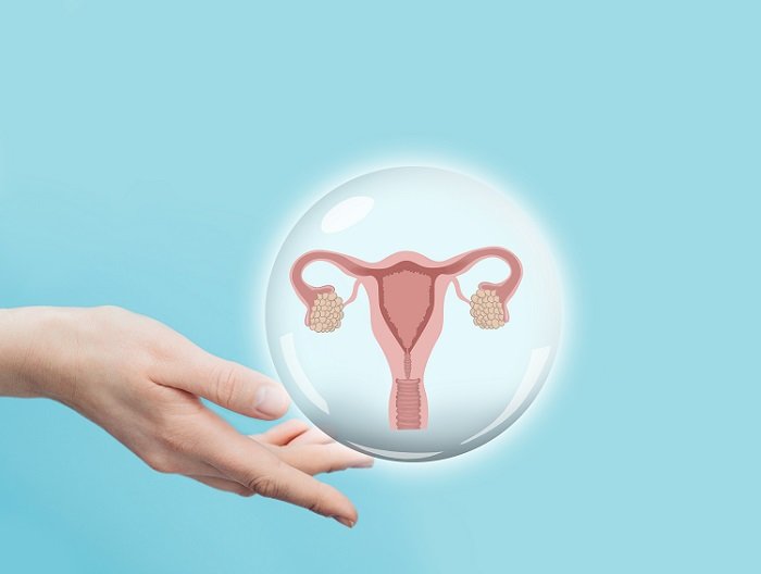 Can You Get Pregnant After Endometrial Ablation?